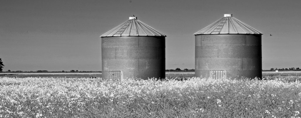 Les silos en entreprise : de quoi s’agit-il ?